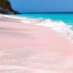 Pink Sand Beach Bahamas