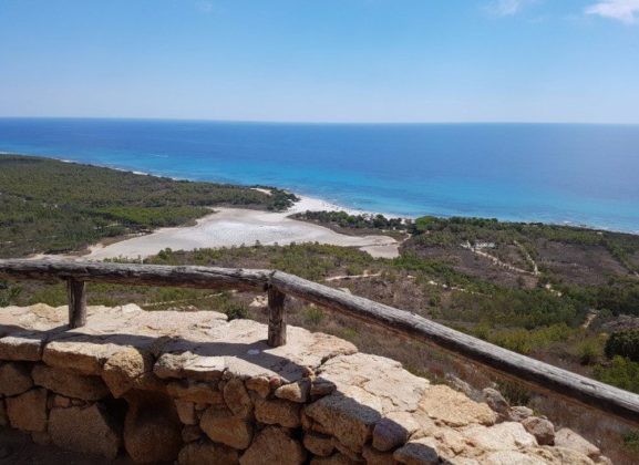 Foto panoramica spiaggia biderosa
